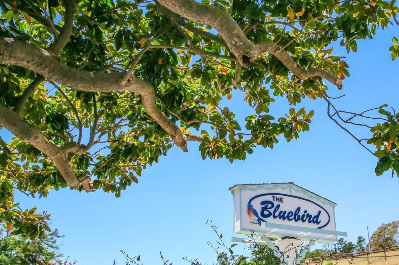 Bluebird Inn Cambria Kültér fotó
